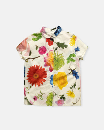 sutton shirt