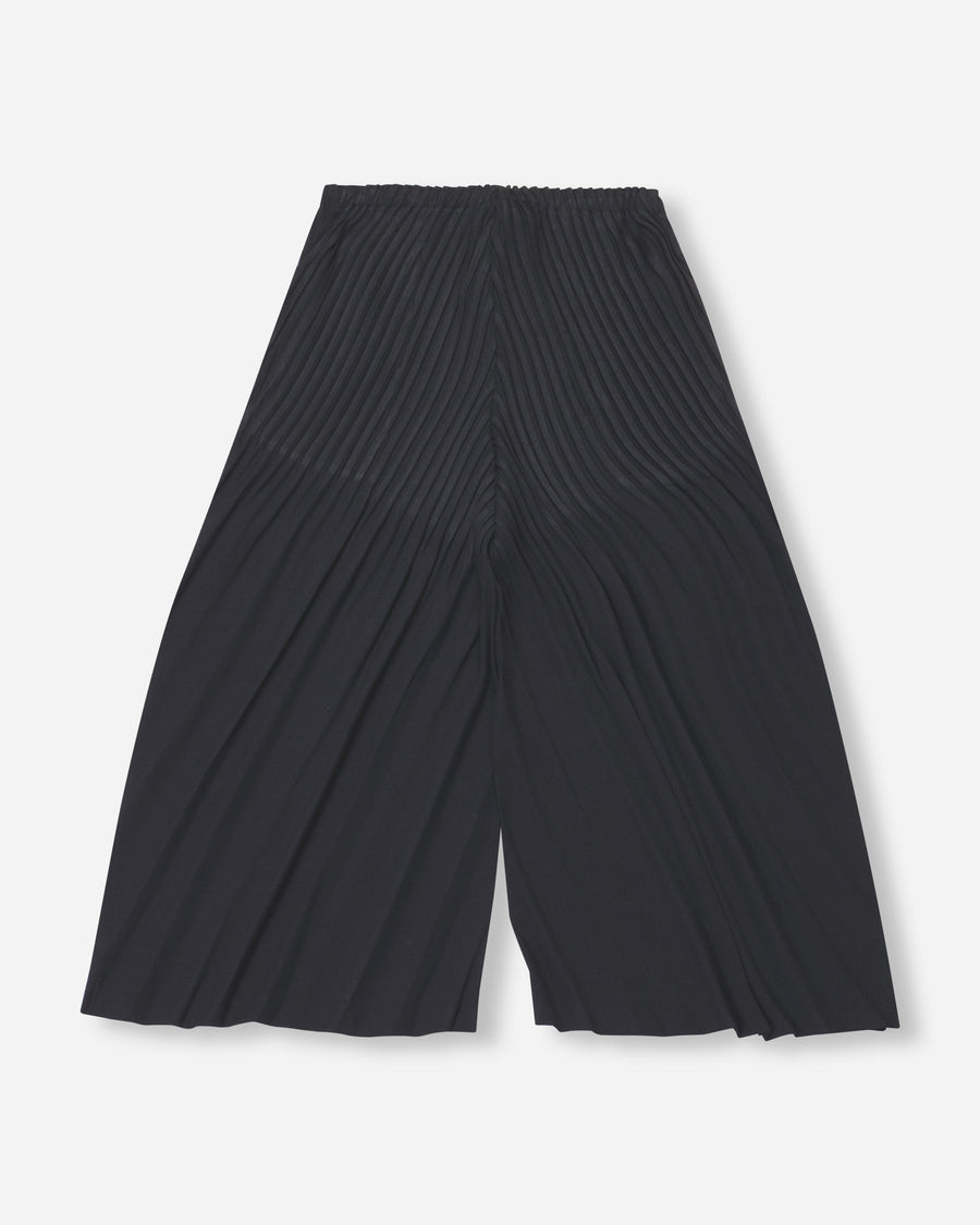 linen like pleats pants