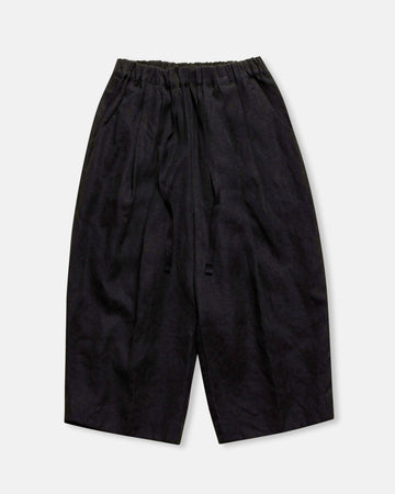 traveler's pants