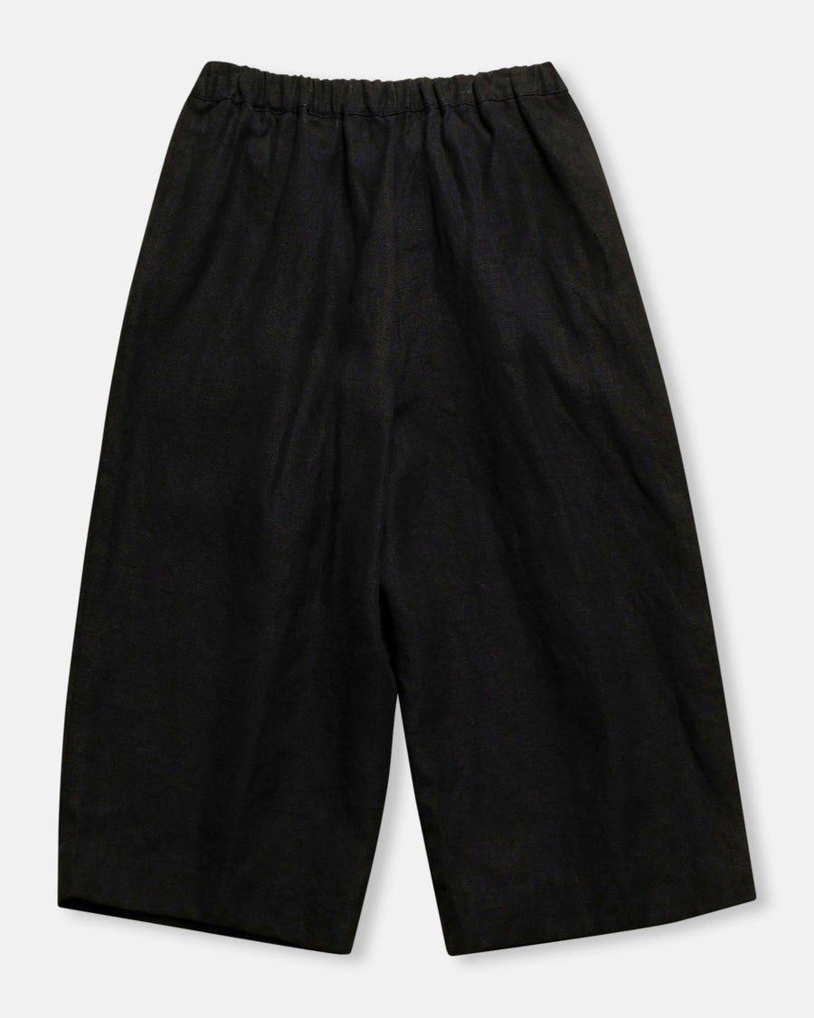 traveler's pants
