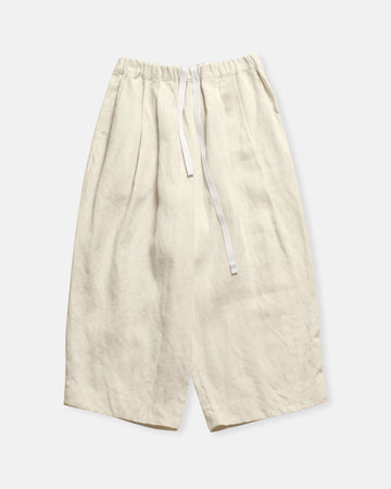 traveler's pants