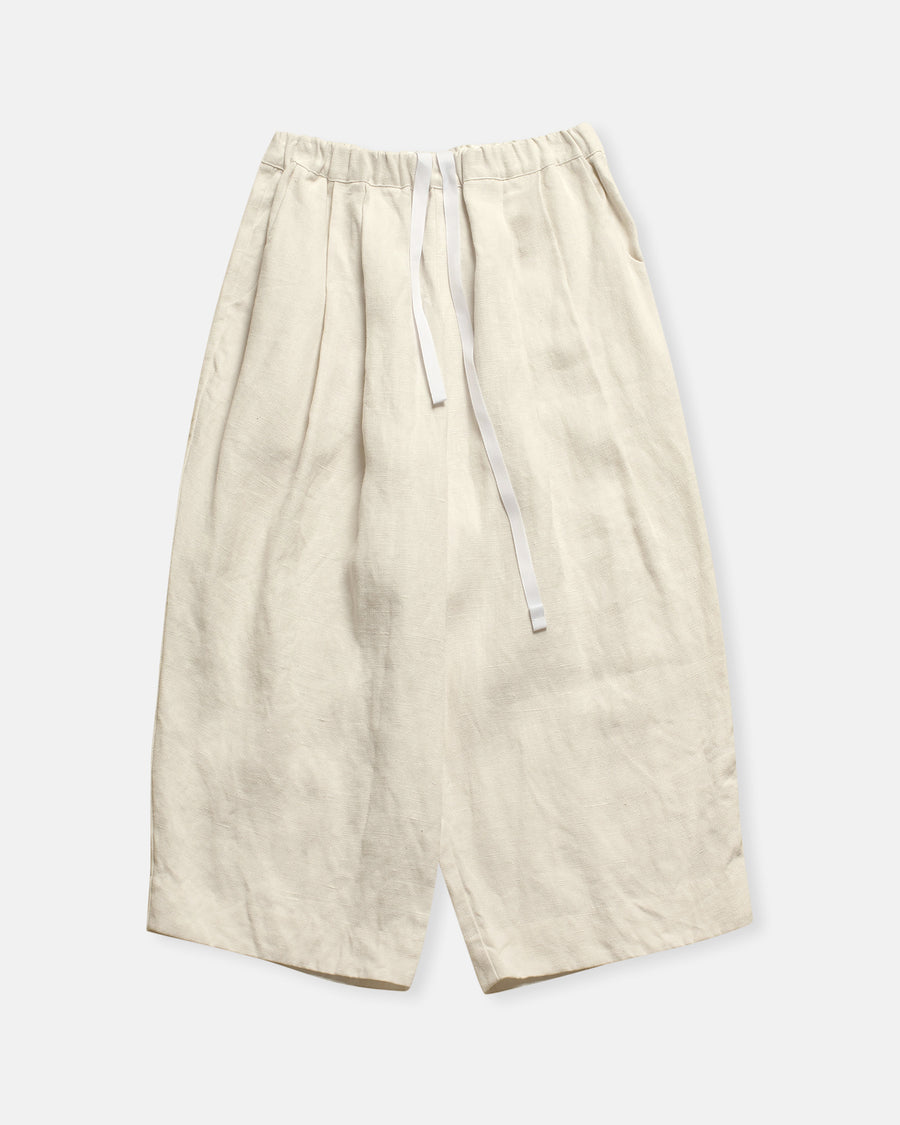 traveler's pants