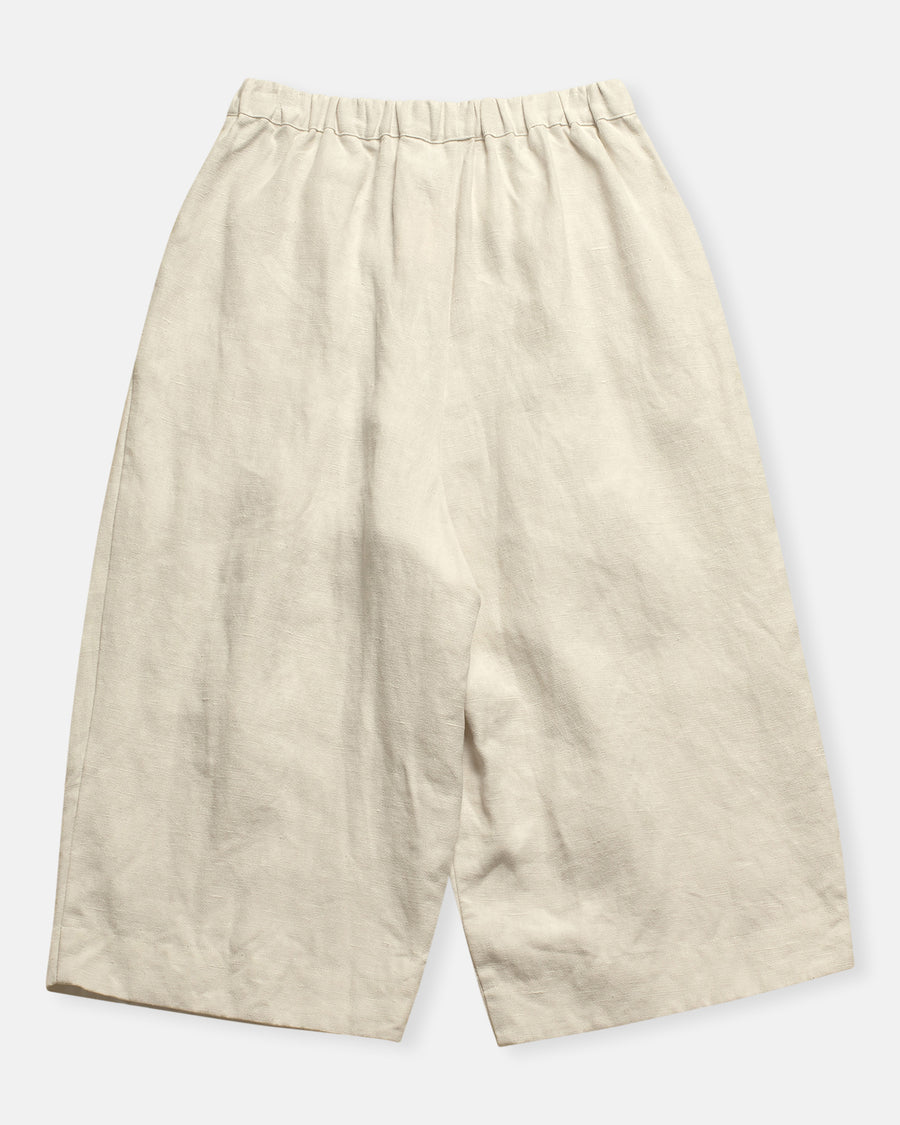 traveler's pants